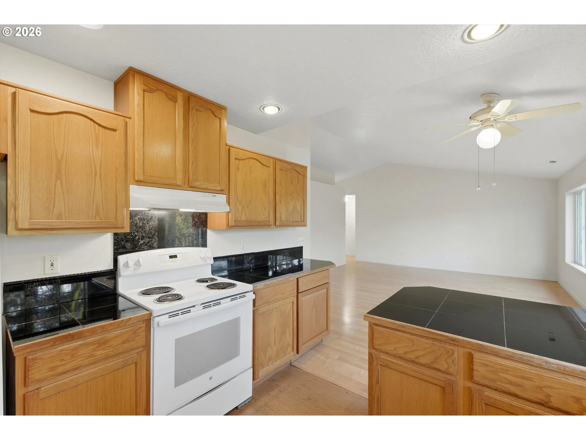 Kitchen/Living Room