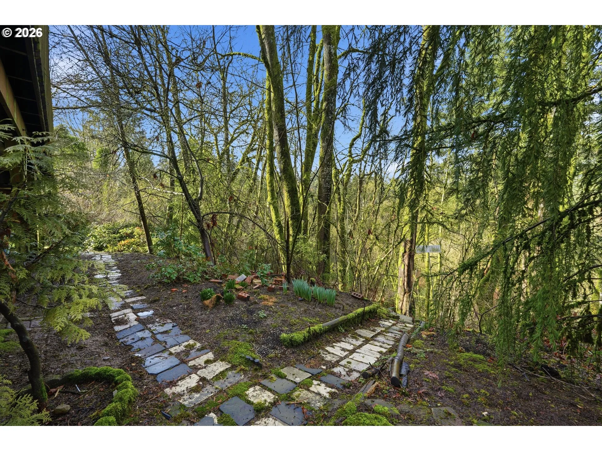 Green Space-Back