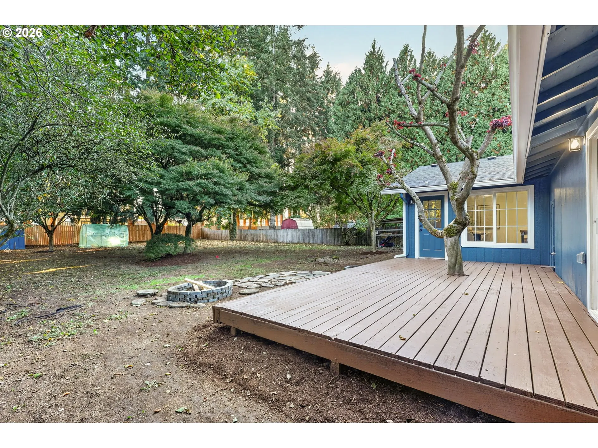 Backyard