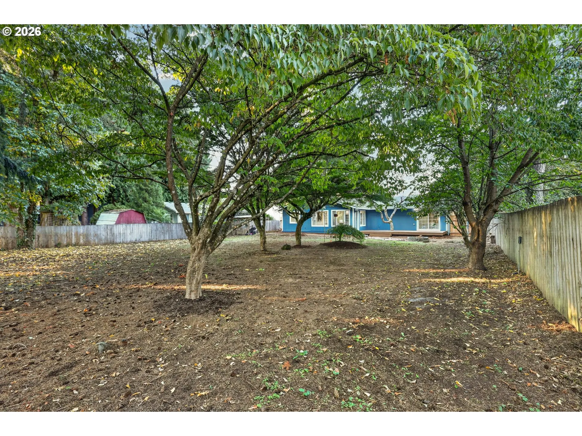 Backyard-View From