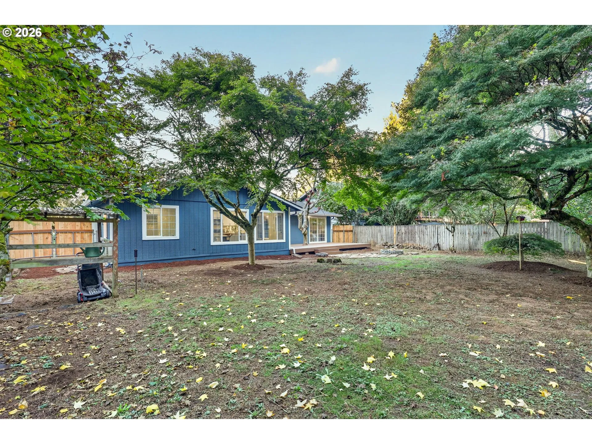 Backyard-View From