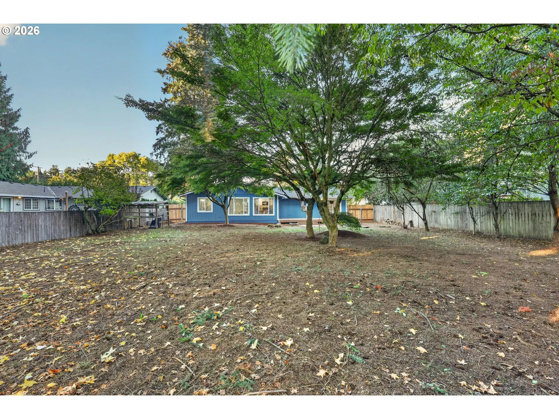 Backyard-View From