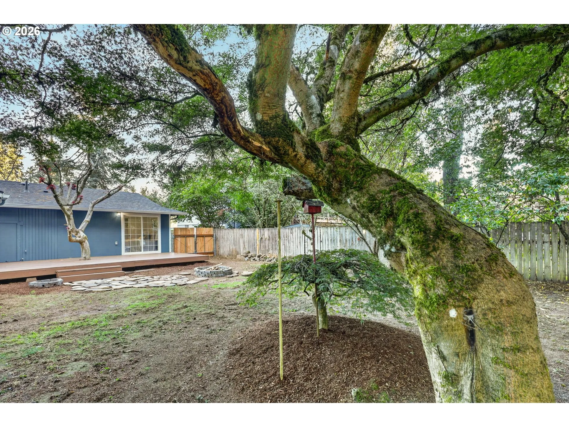 Backyard-Fenced