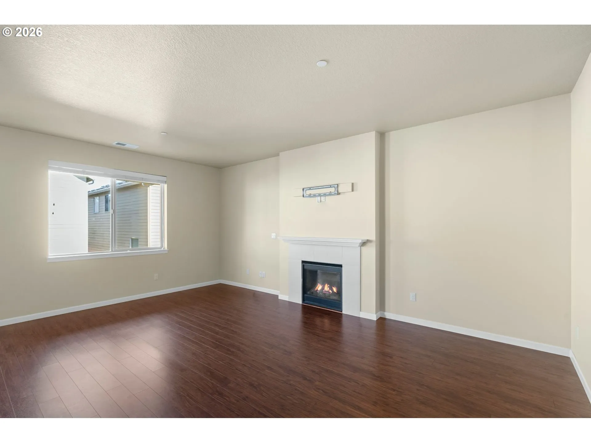 Living Room-Fireplace