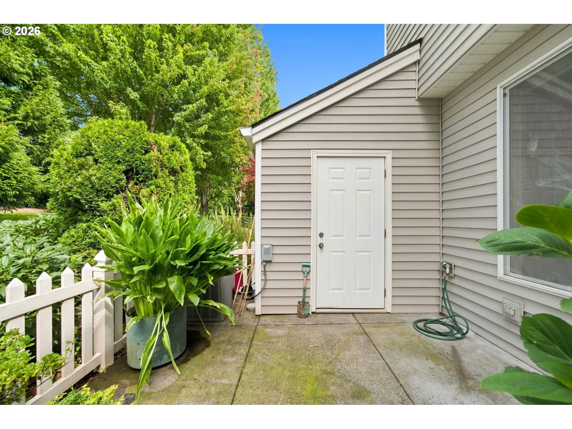 Patio-Backyard