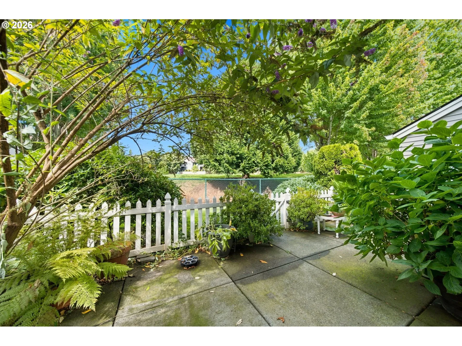 Patio-Backyard
