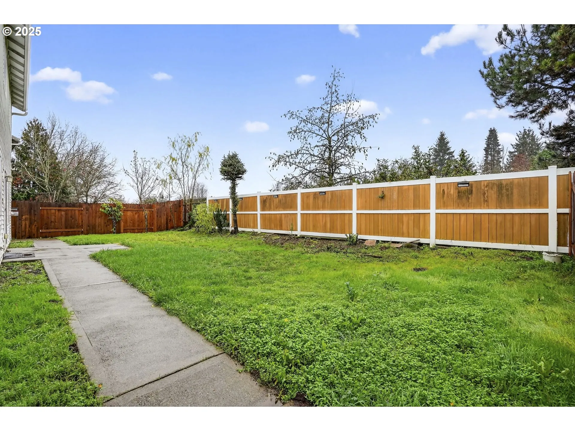 Backyard-Fenced
