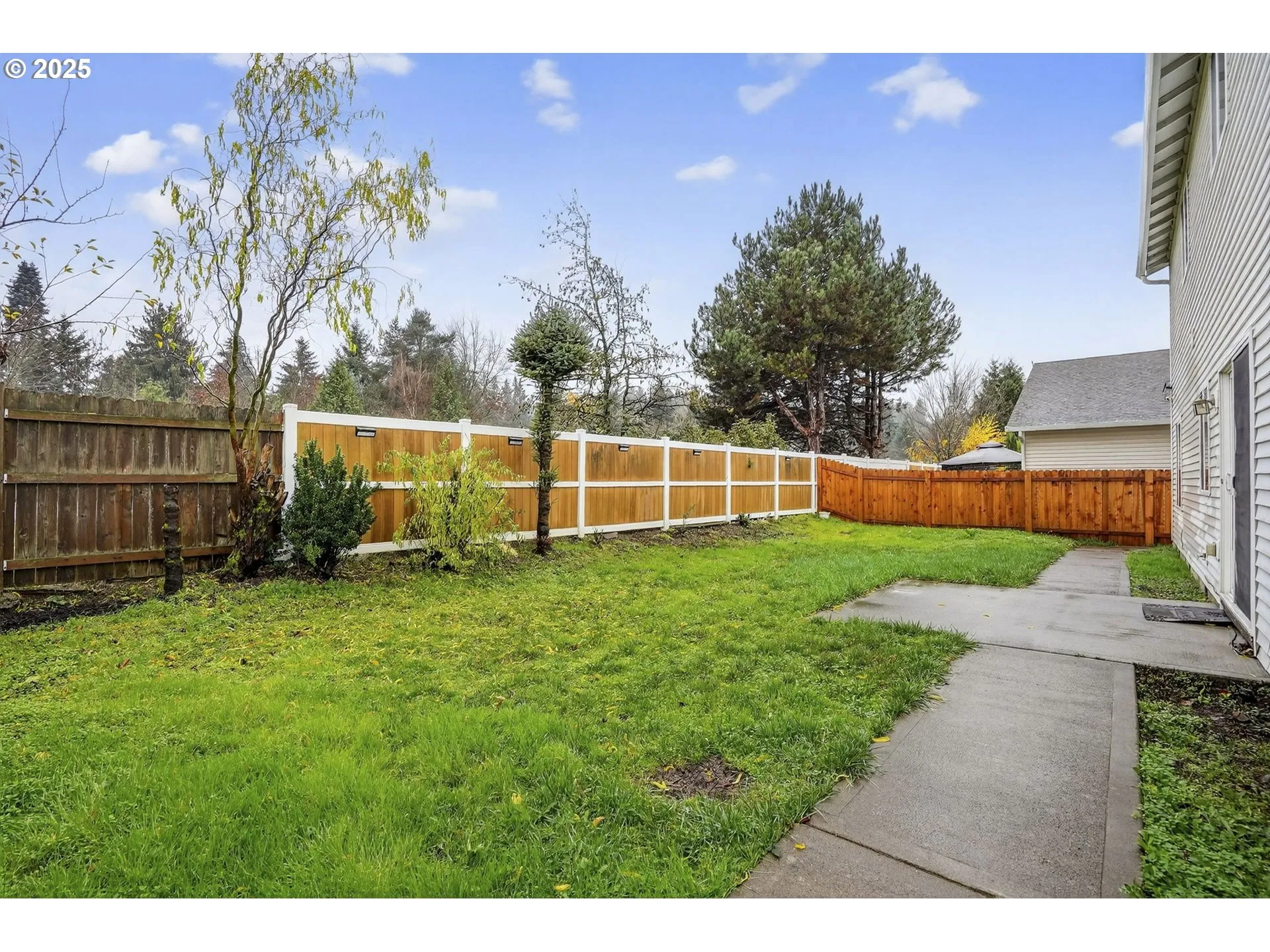 Backyard-Fenced