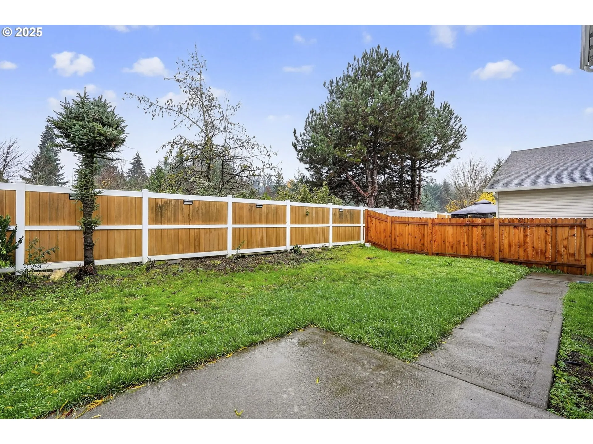 Backyard-Fenced