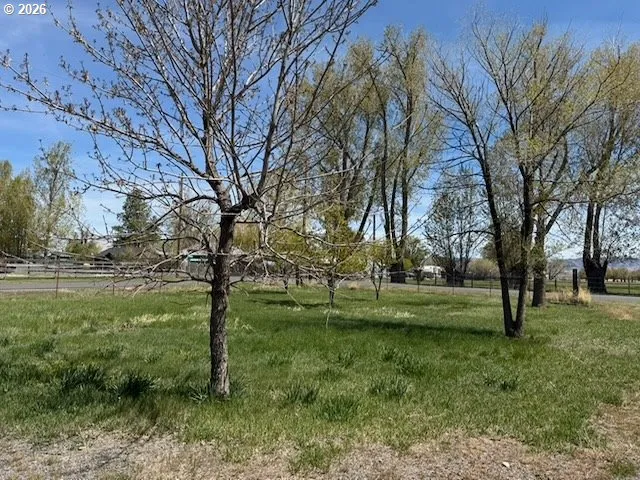 Yard-Trees