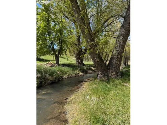 Creek-Year Round
