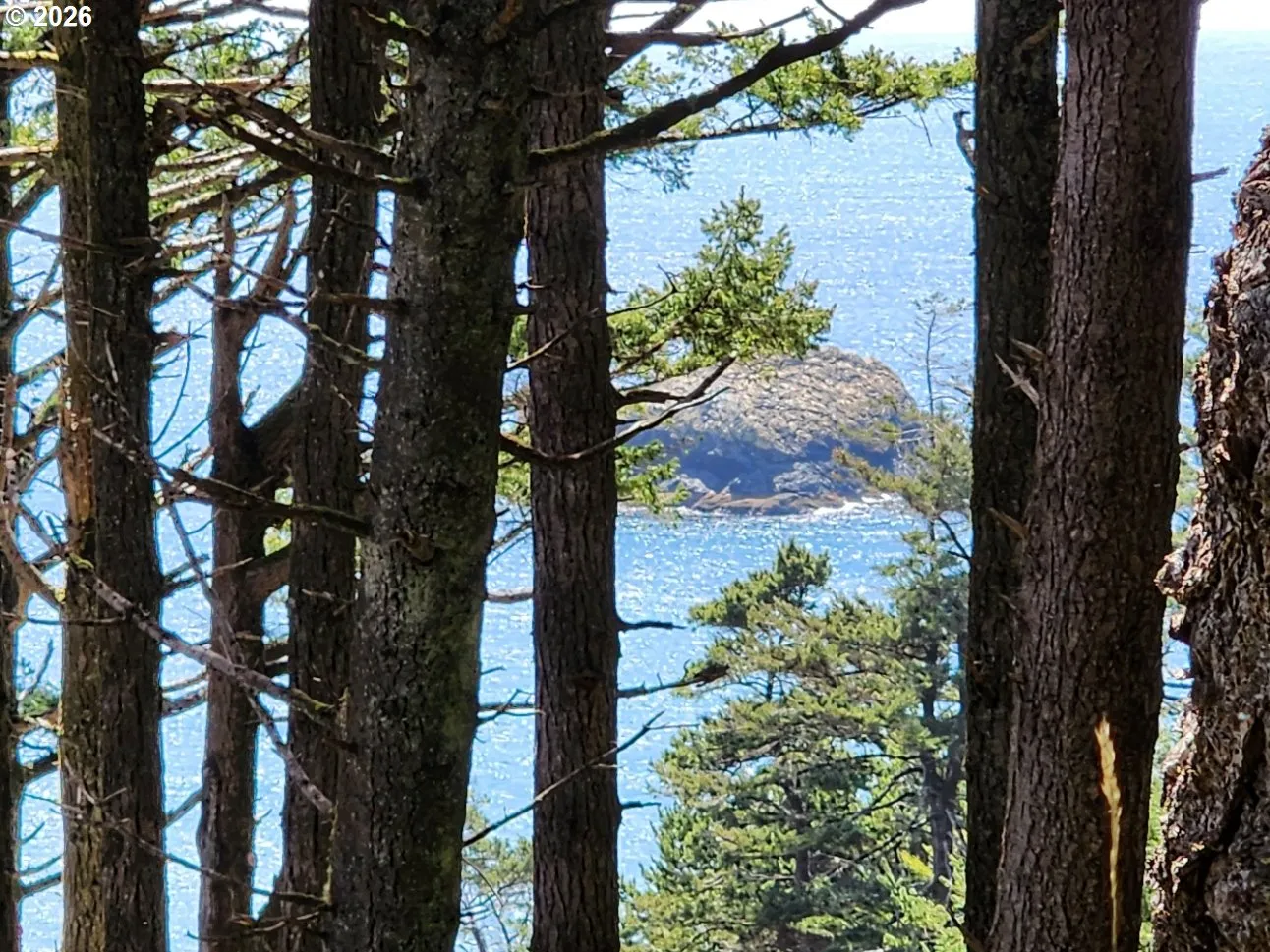 View-Ocean