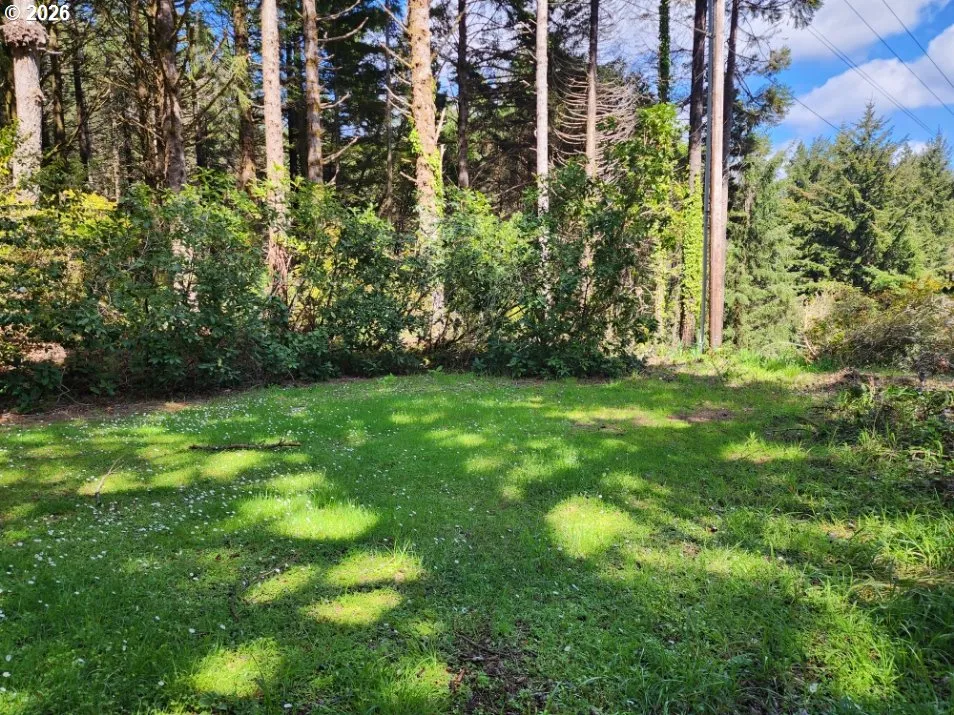 Front Yard