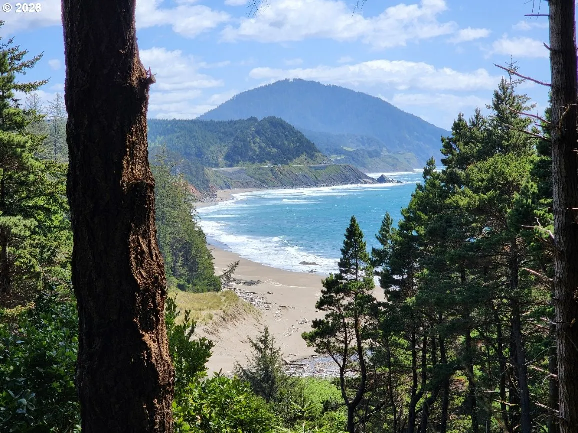 View-Beach/Ocean