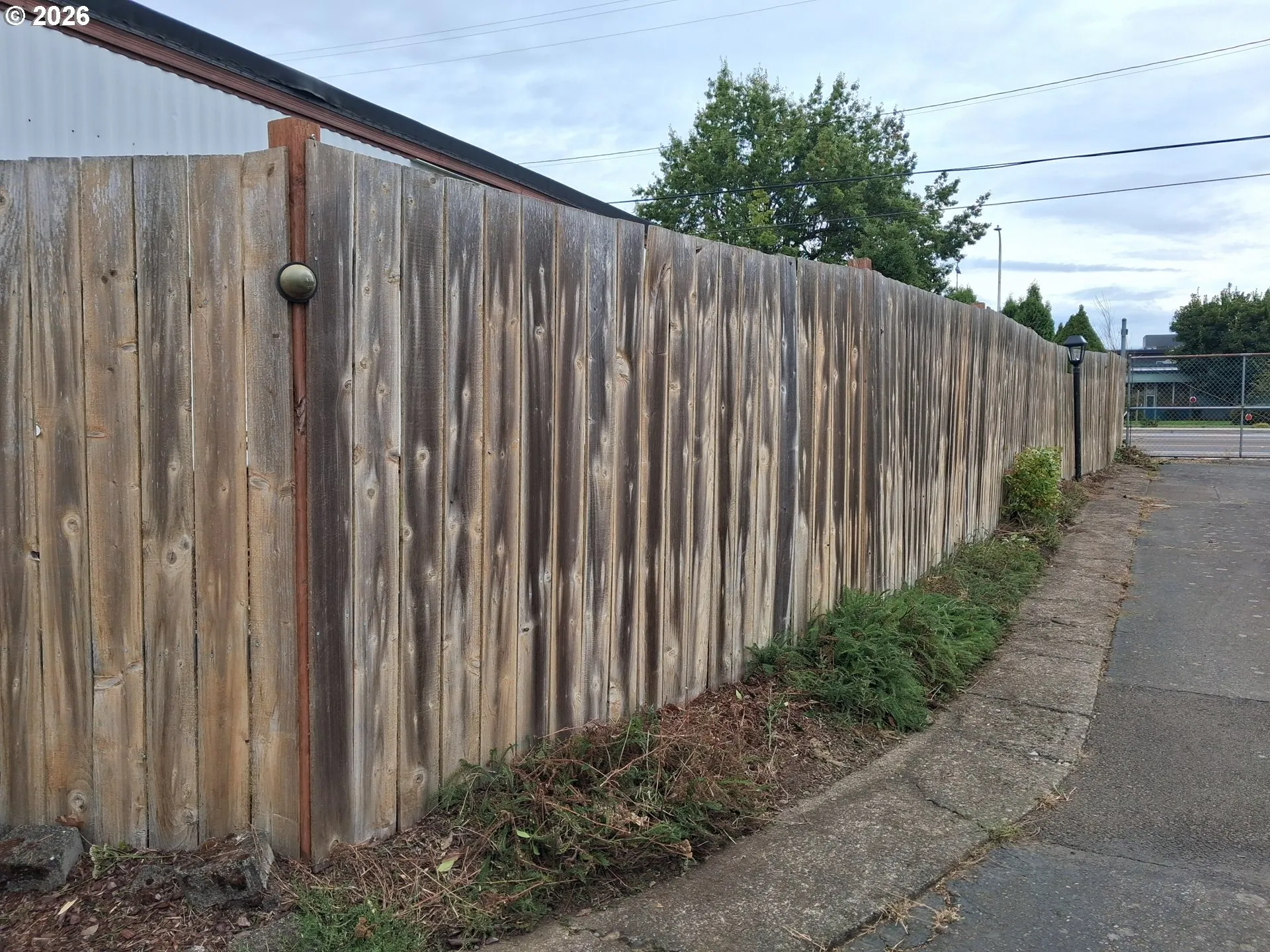 Backyard-Fenced