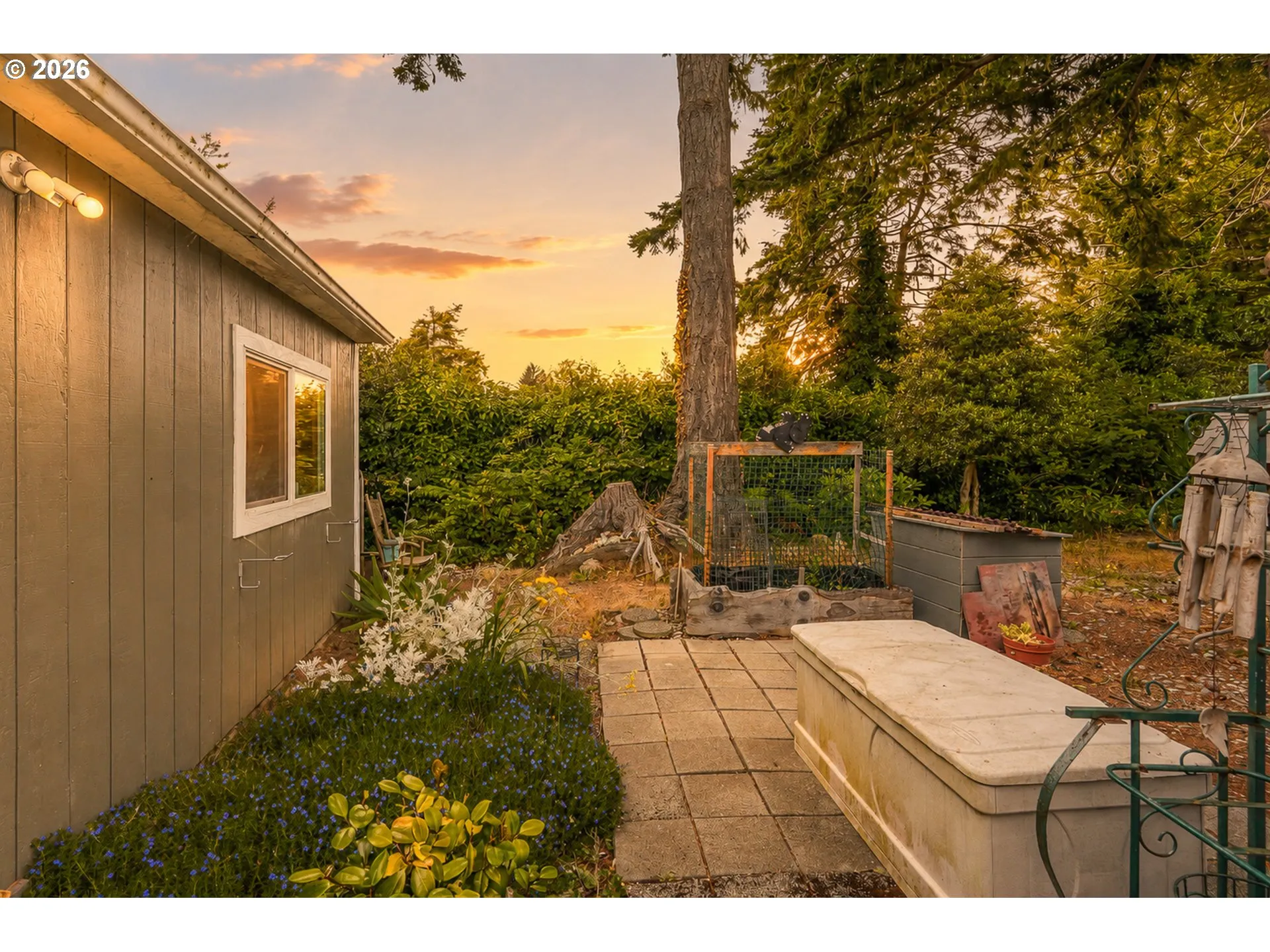 Backyard