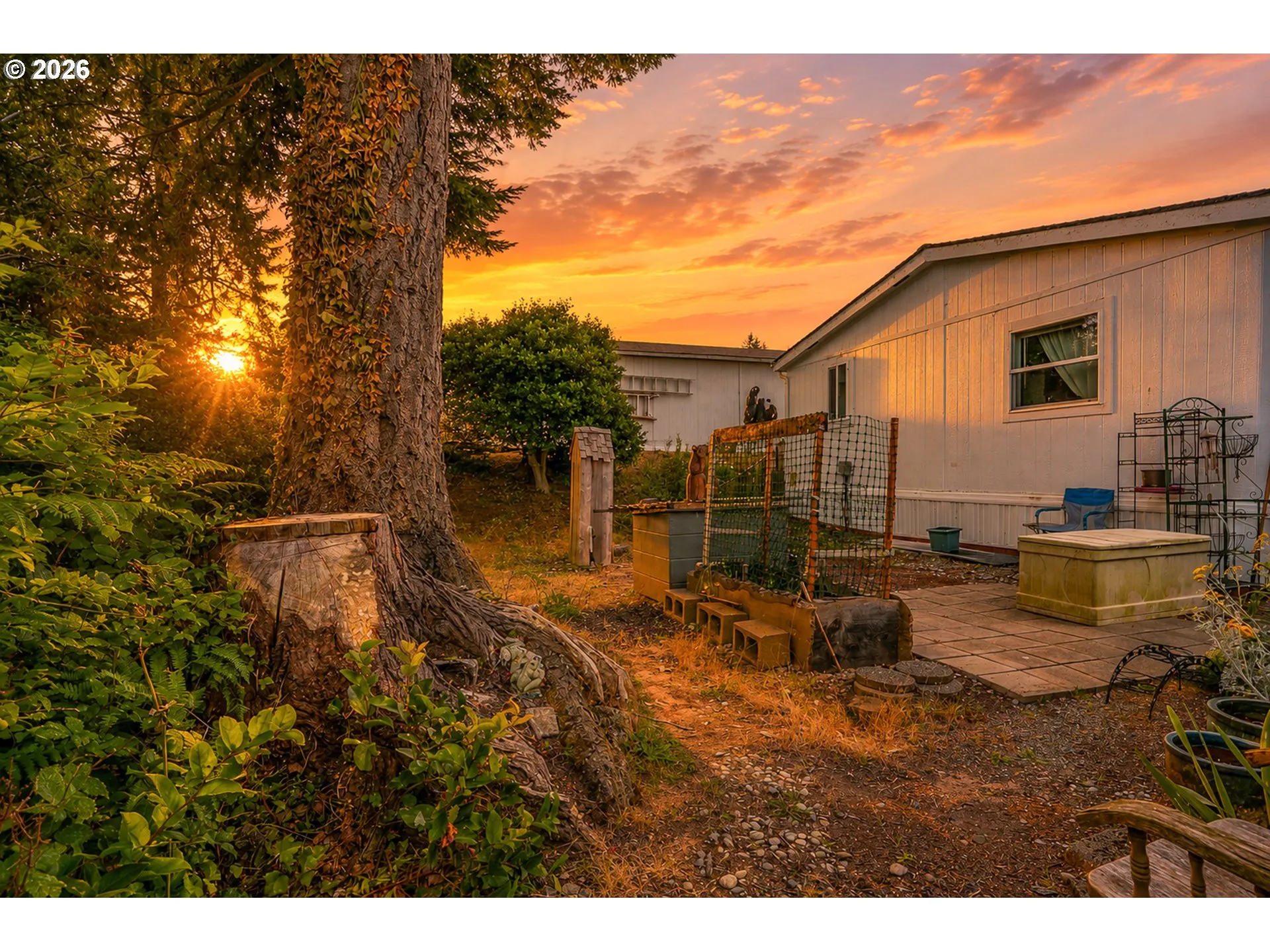 Backyard