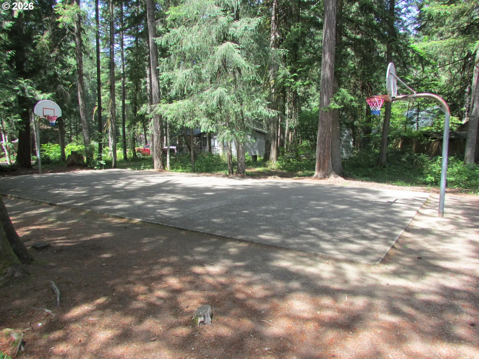Community Basketball