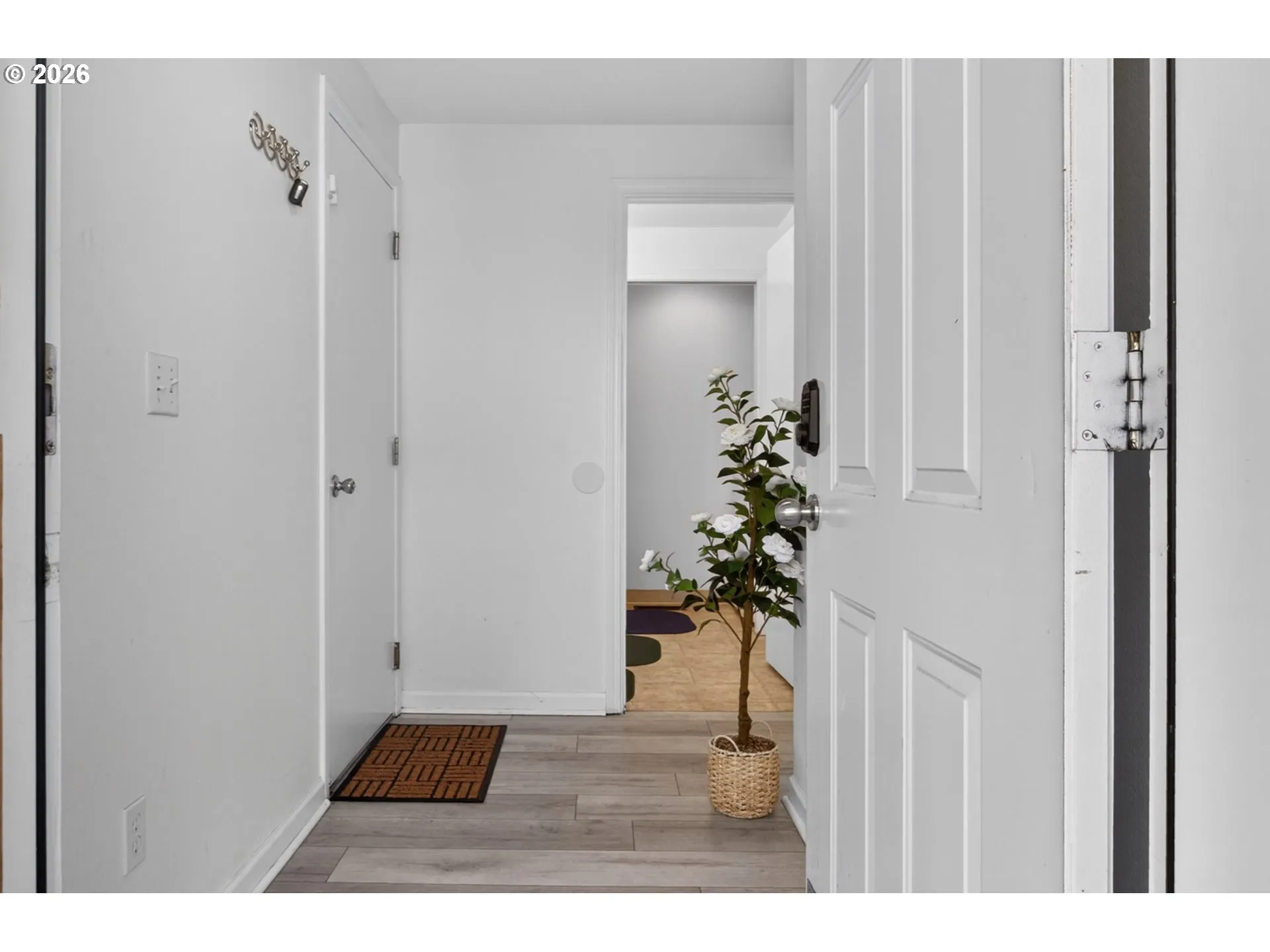 Entrance/Foyer