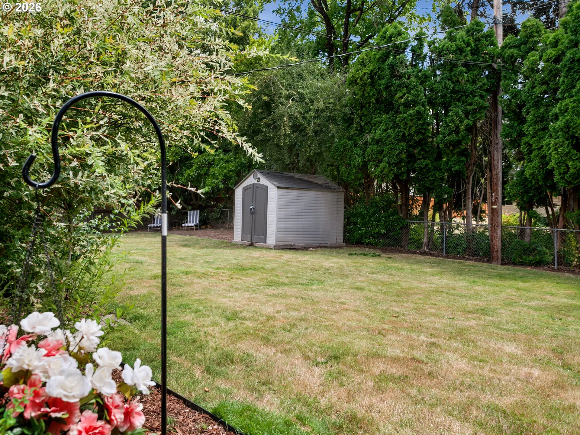 Backyard