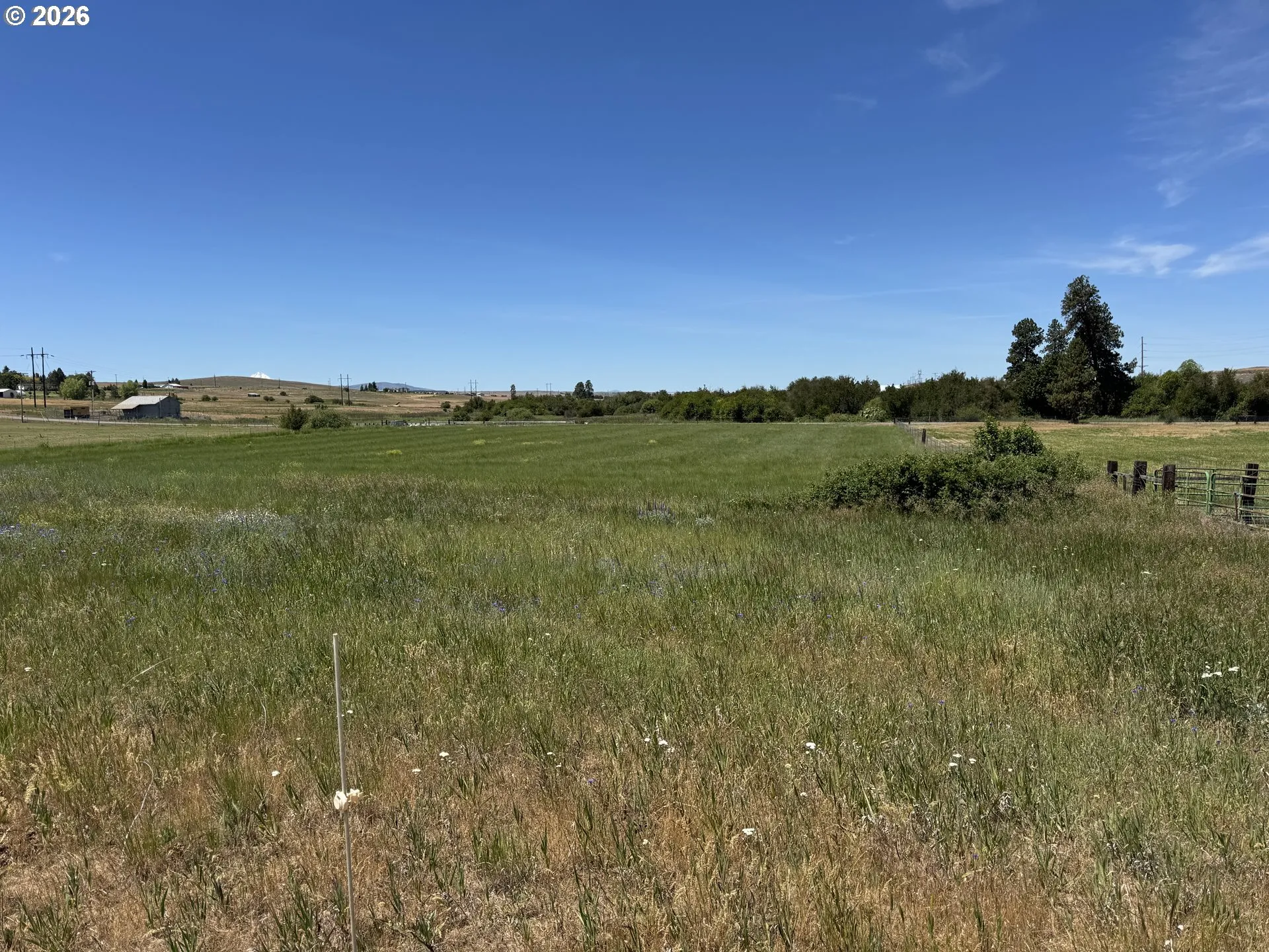 Pasture