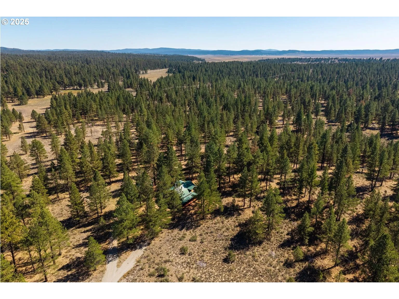 View-Trees