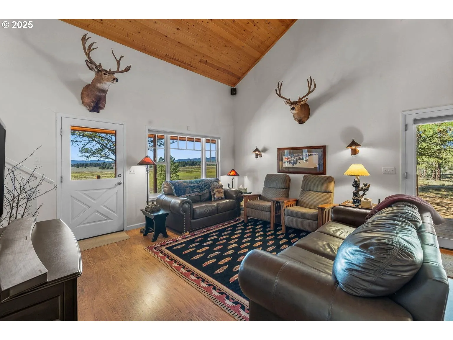 Living Room-Vaulted Ceilings
