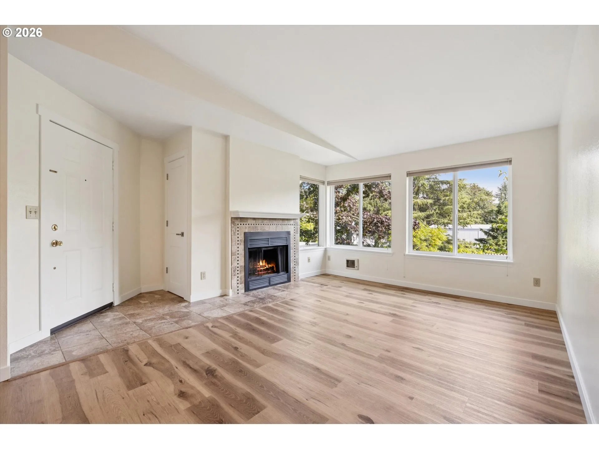 Living Room-Fireplace