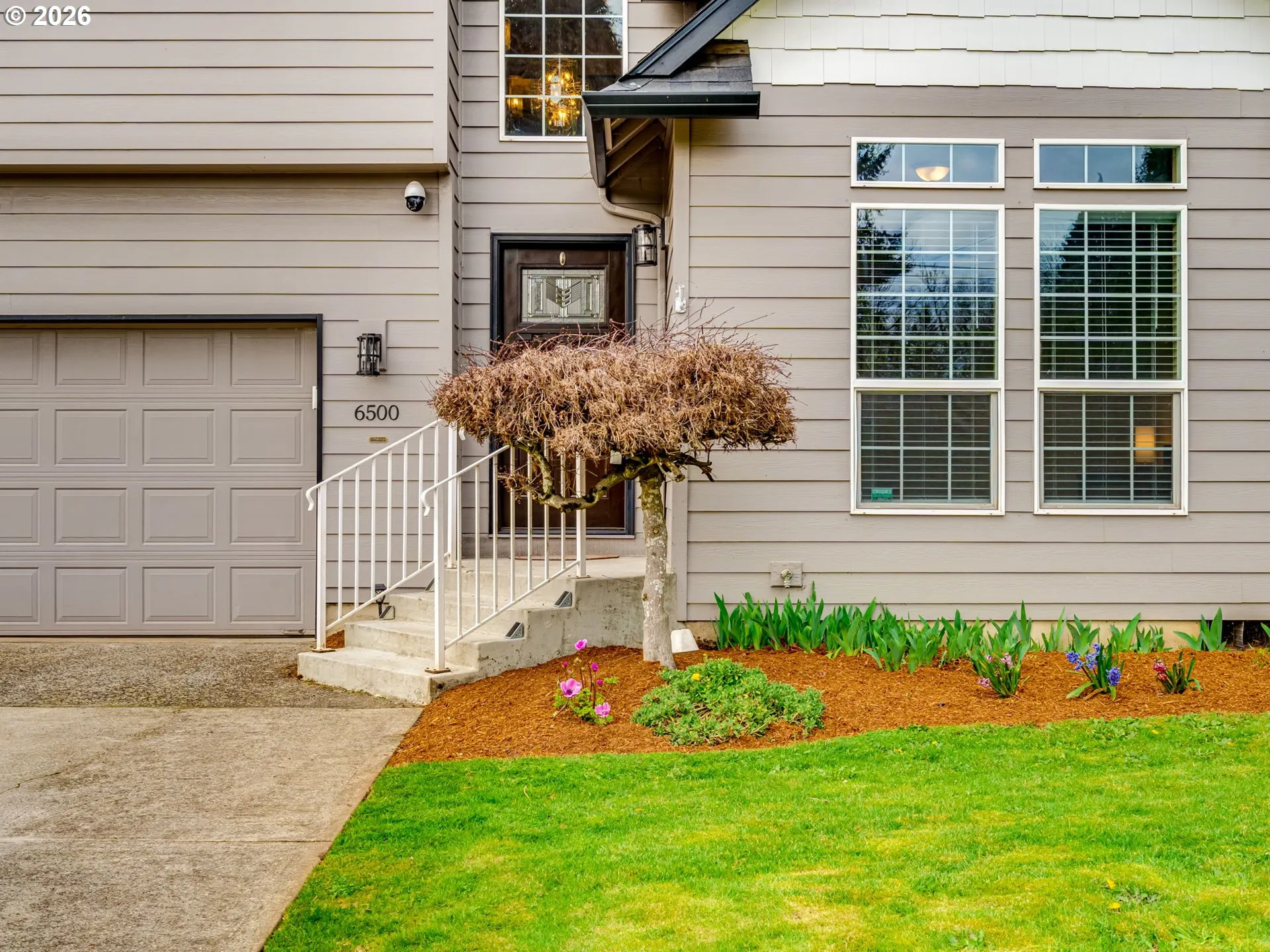 Front Yard