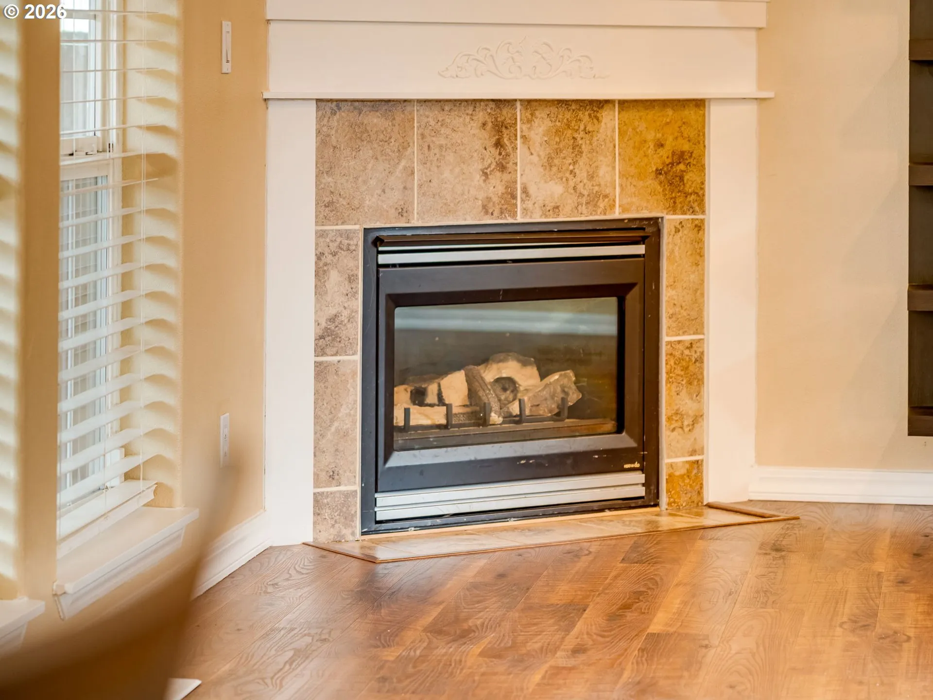 Living Room-Fireplace