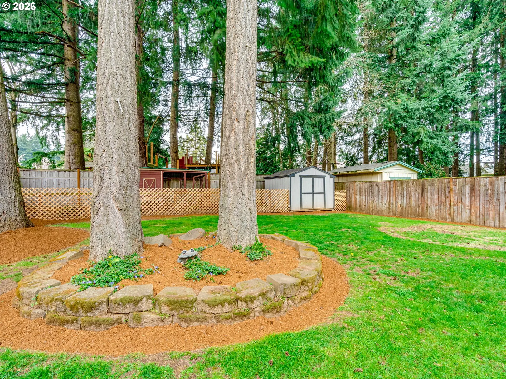 Backyard-Fenced