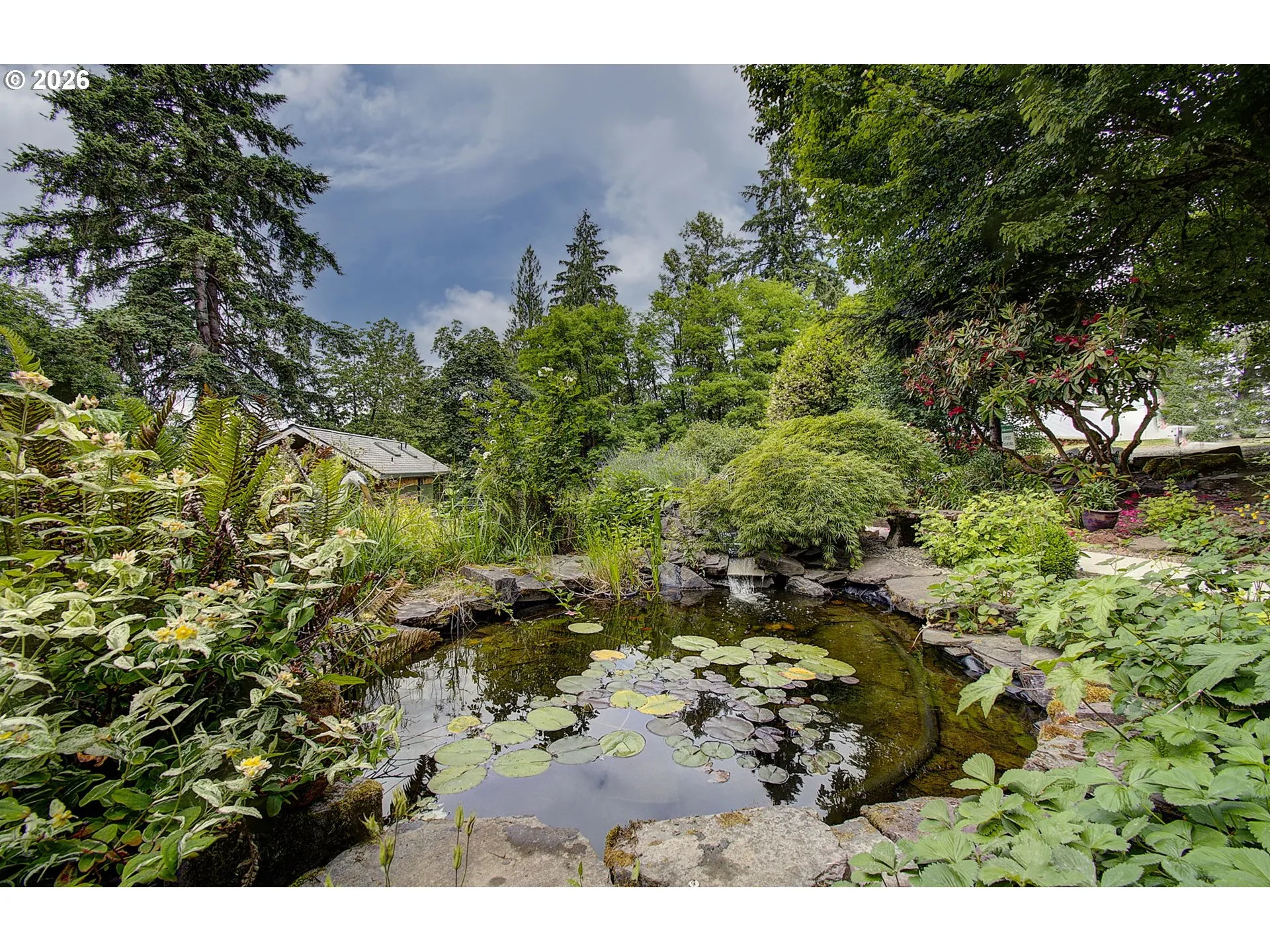 Pond