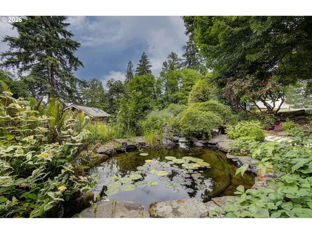 Pond