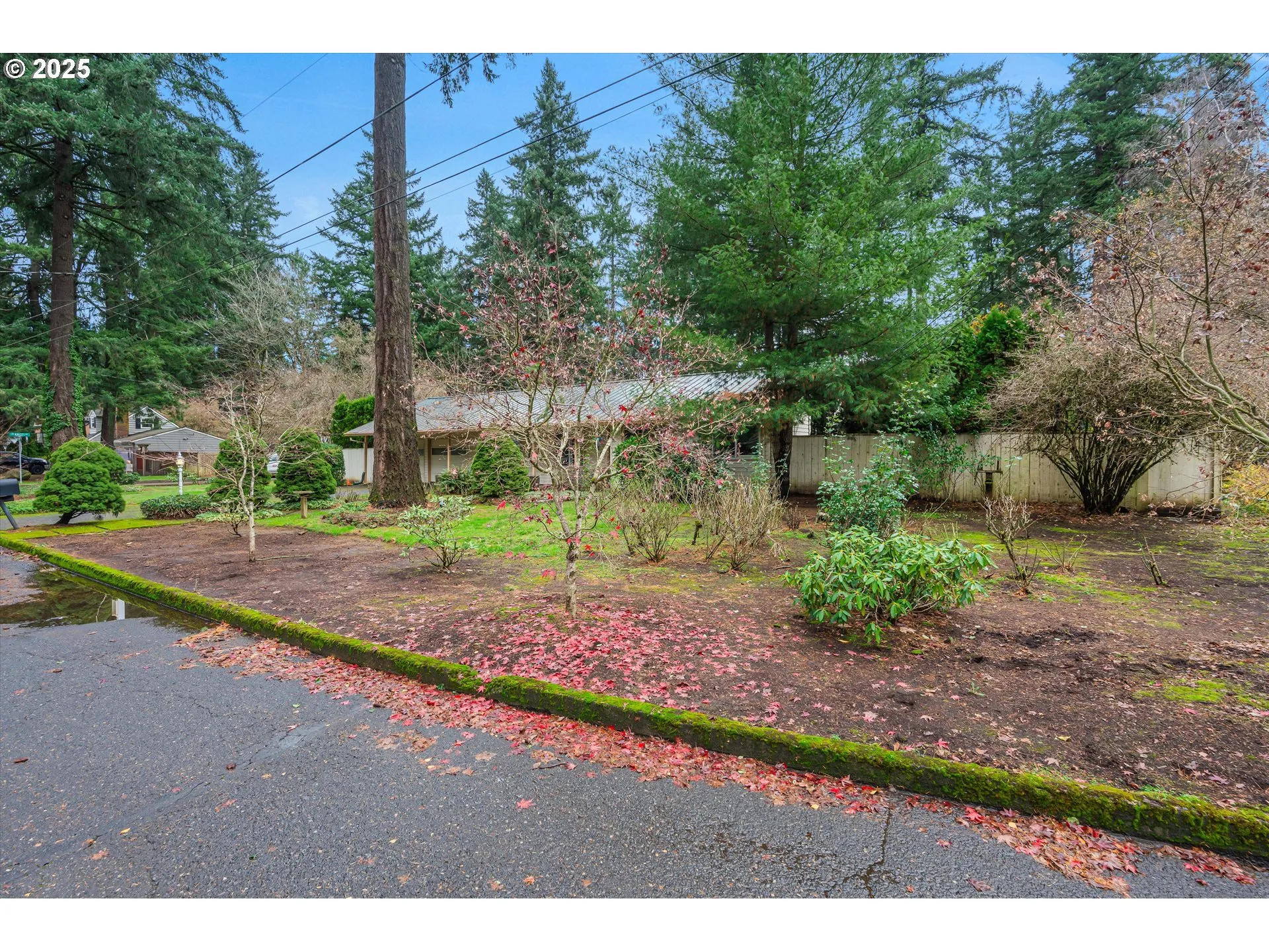 Front Yard