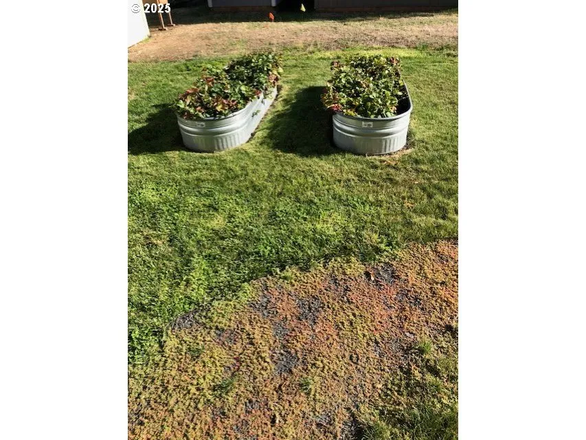 Yard-Back