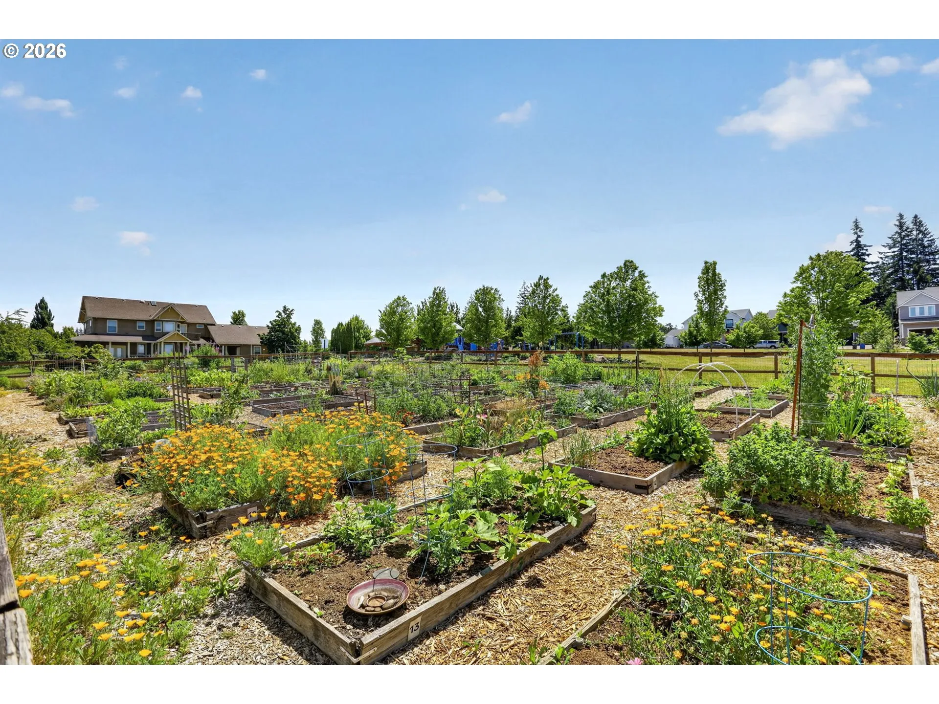 Community Garden