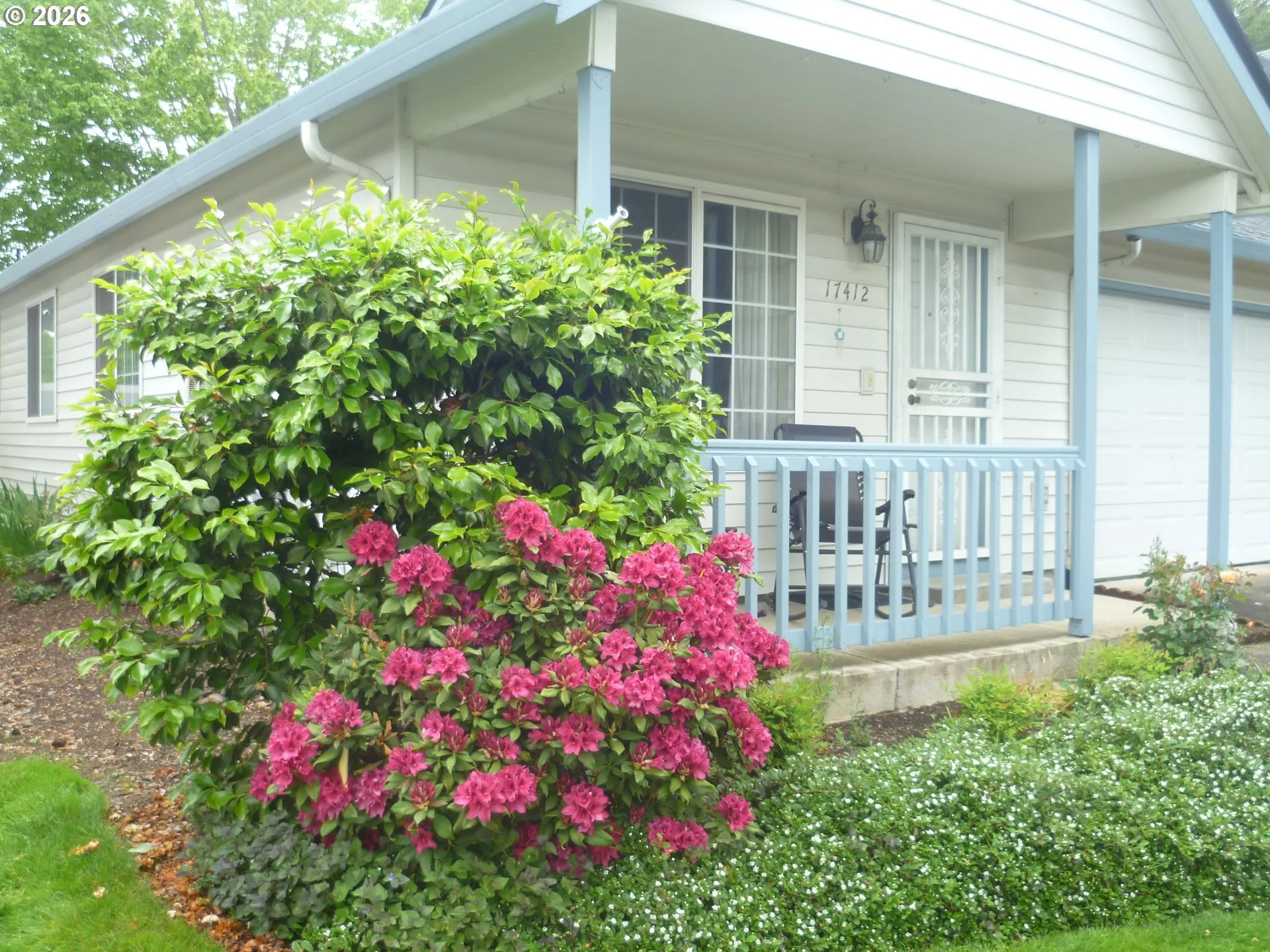 Front Yard
