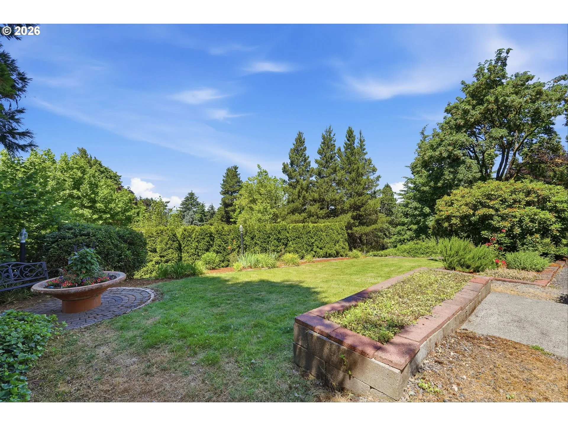 Backyard-View From