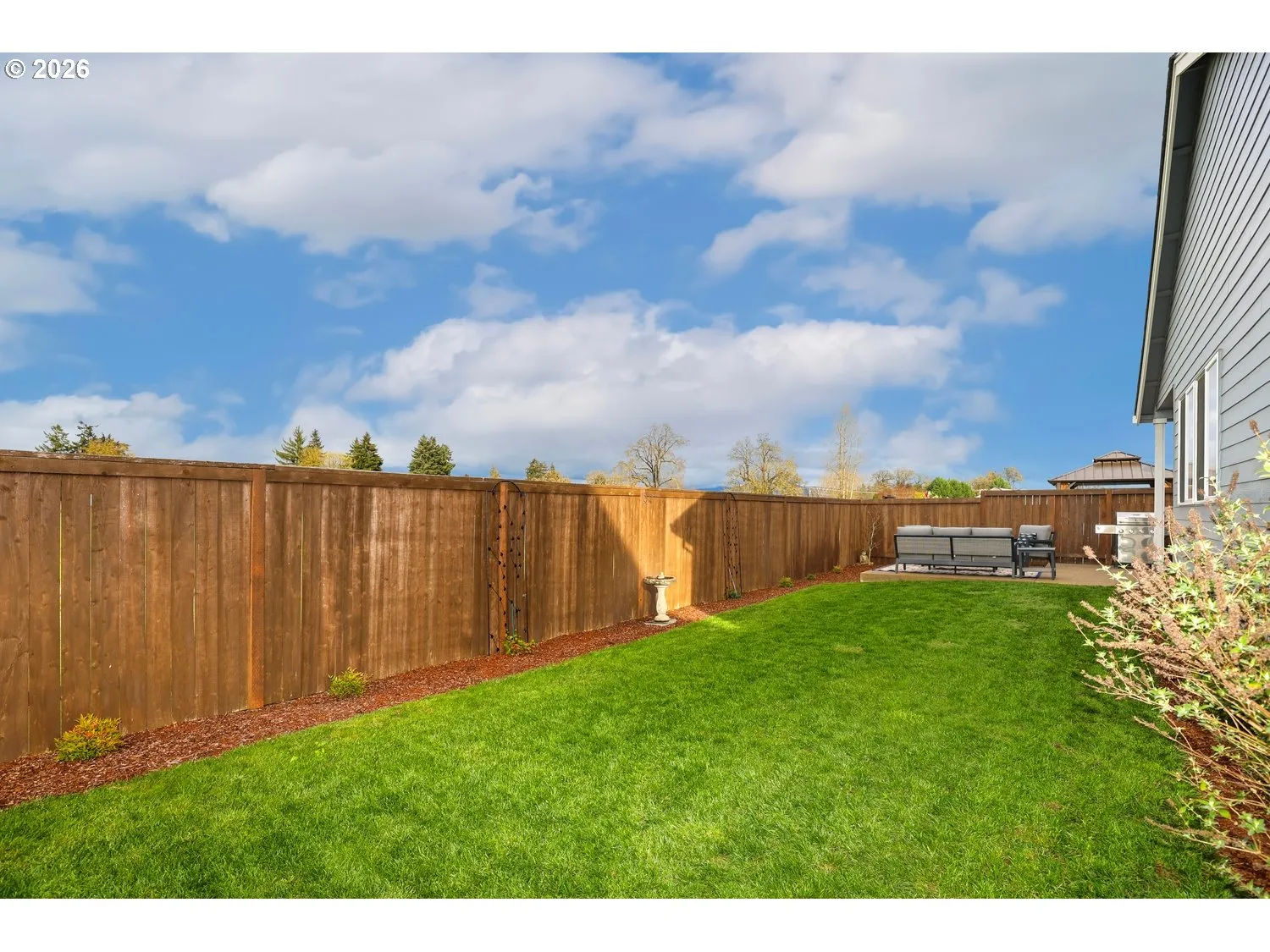 Backyard-View From