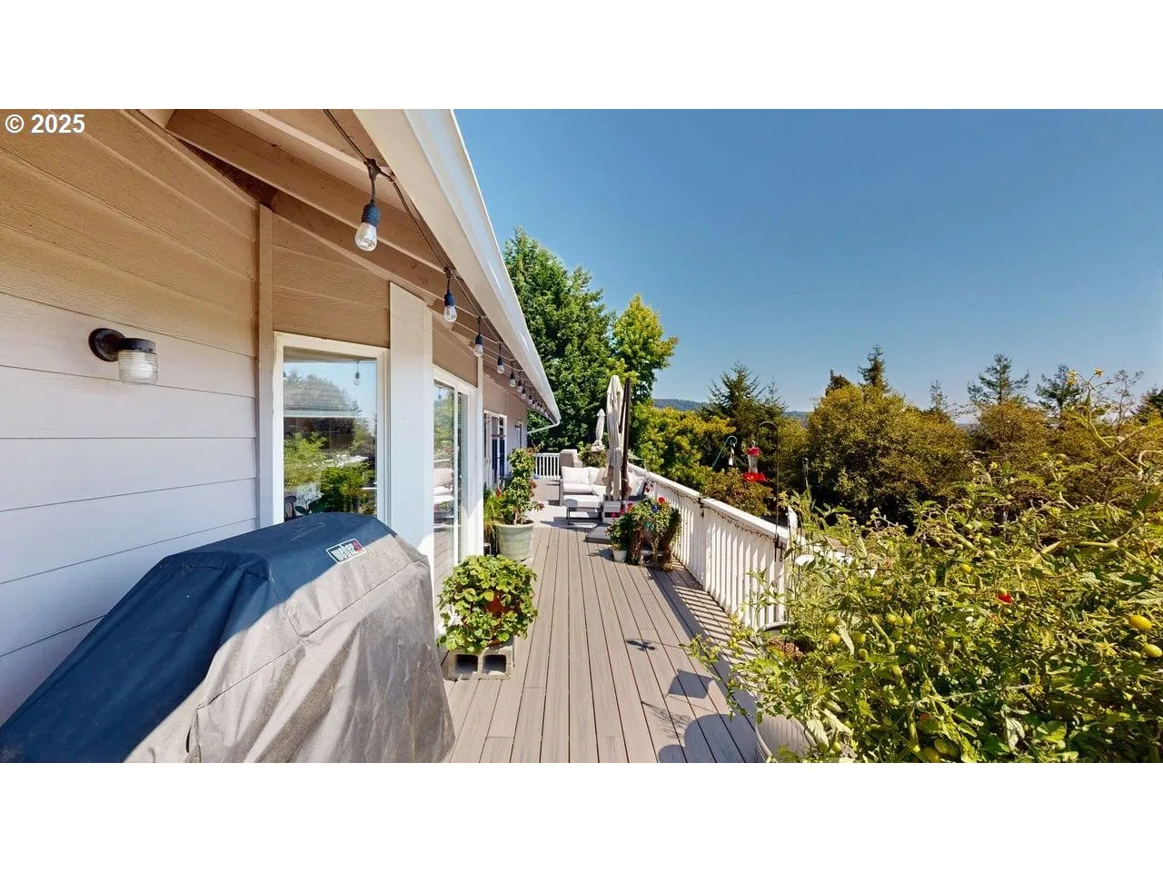 Deck-Main