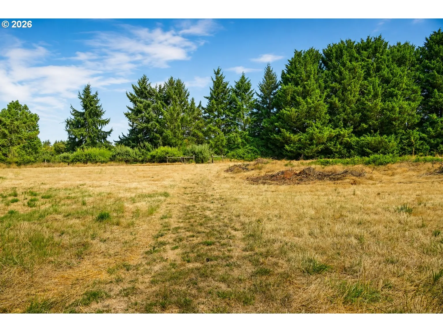 Pasture