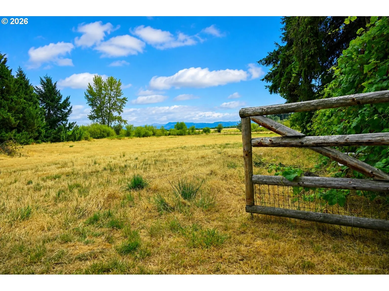 Pasture