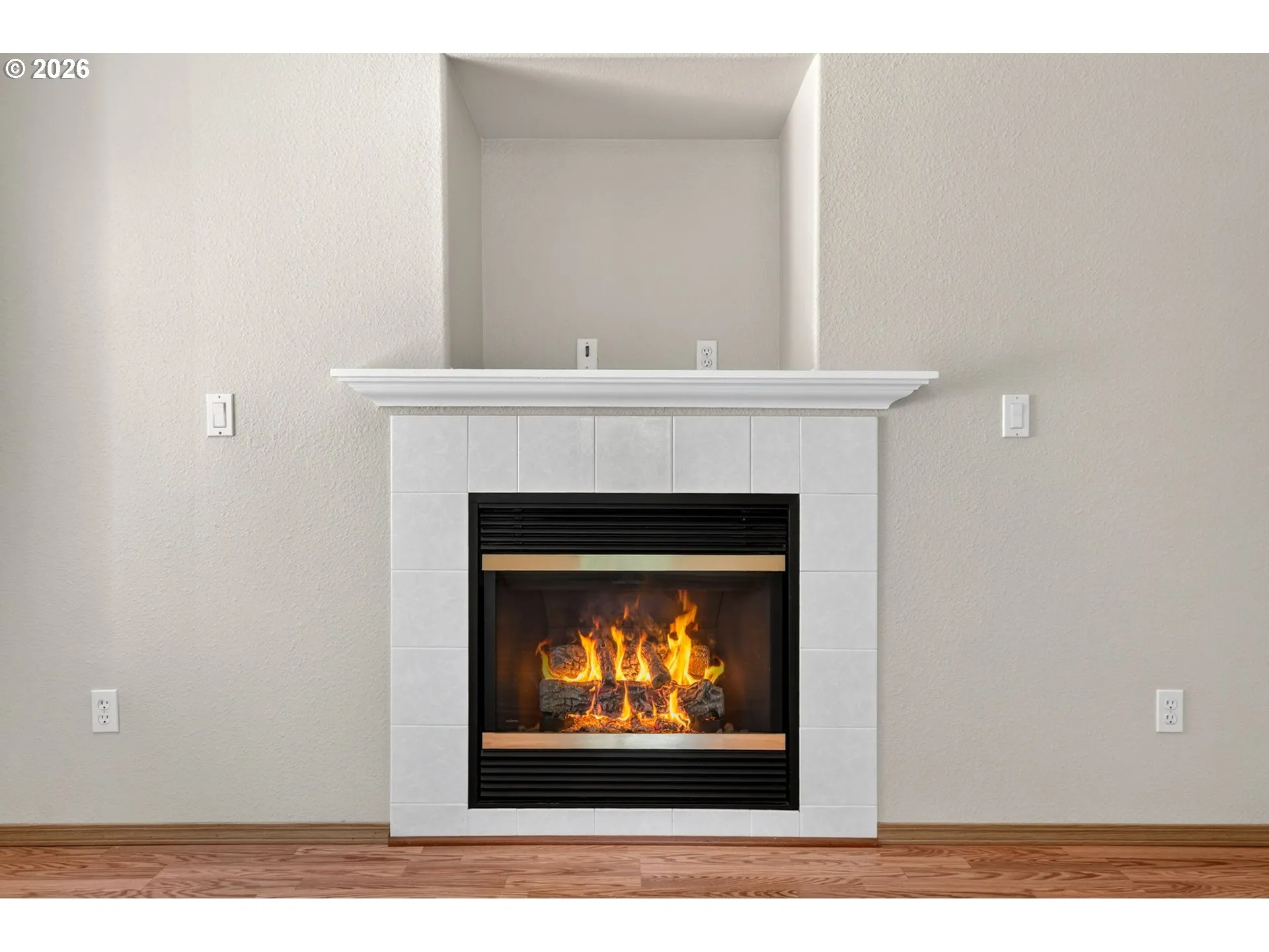 Living Room-Fireplace