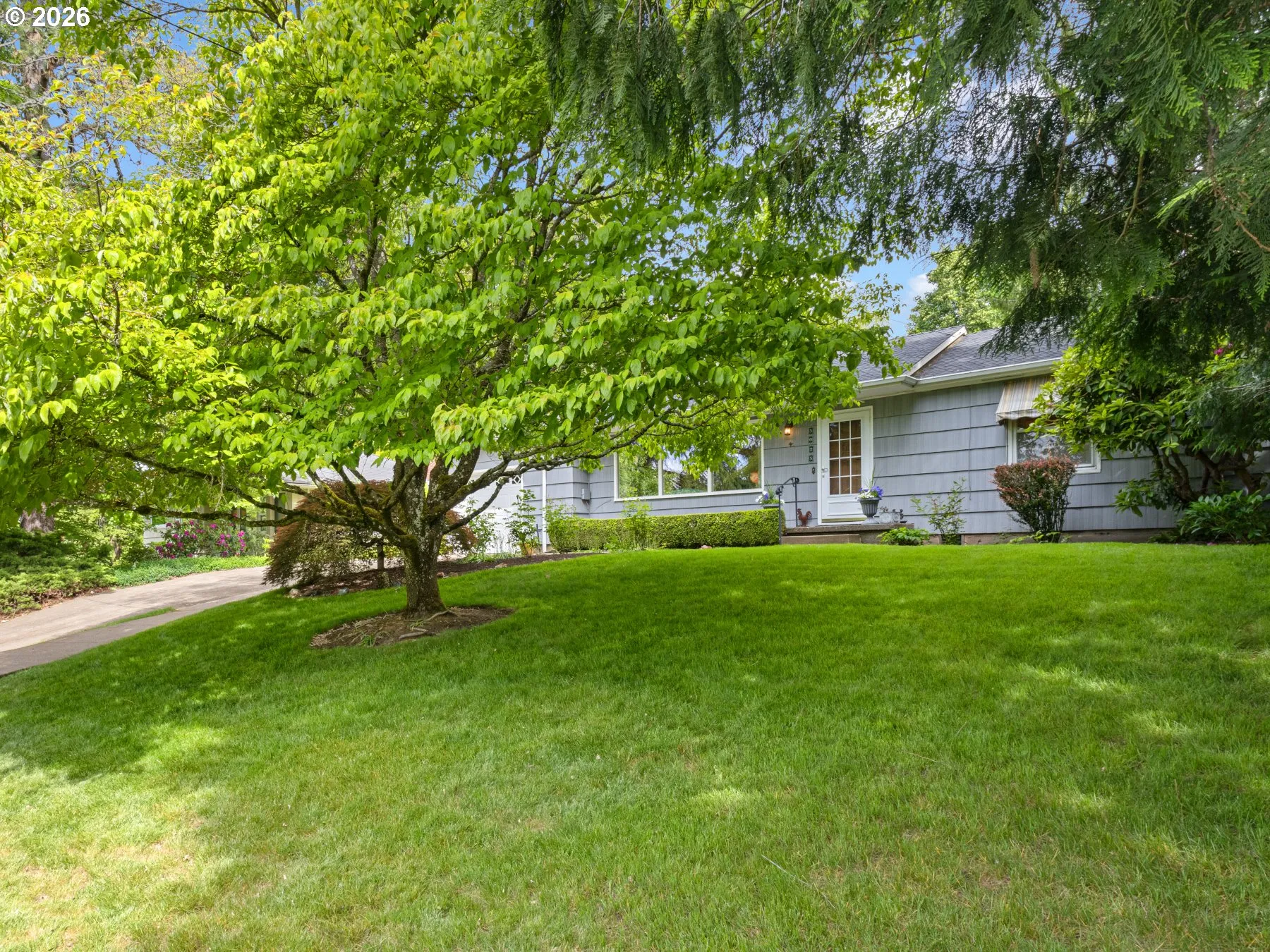 Front Yard