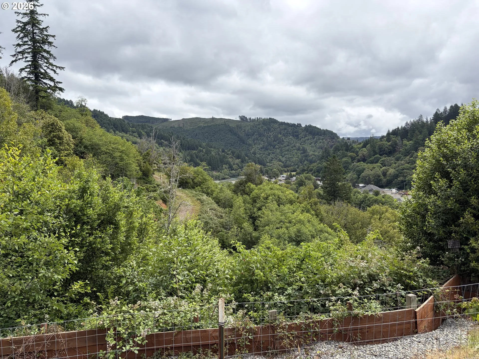 Backyard-View From