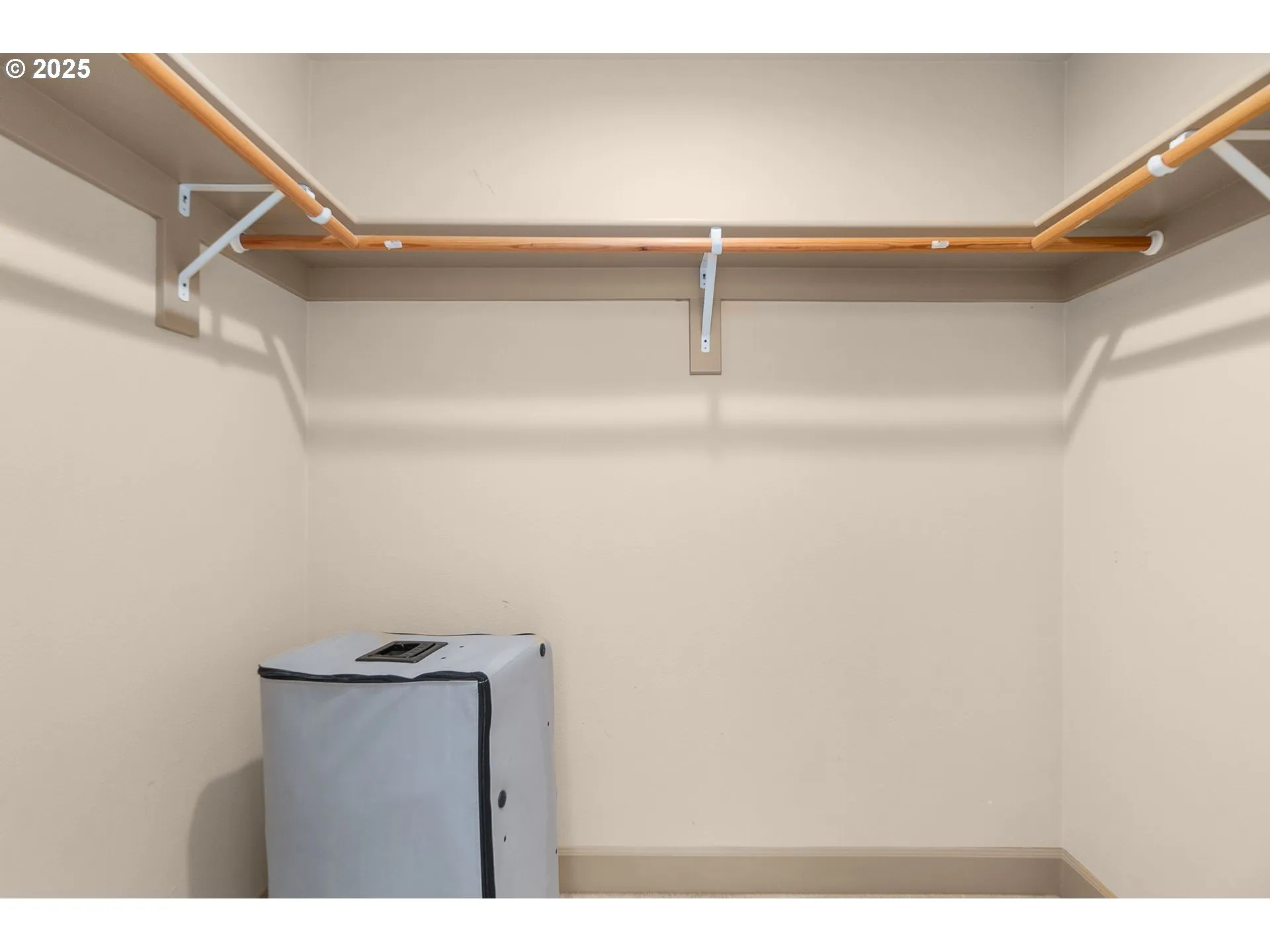 Bedroom-Walk-In Closet