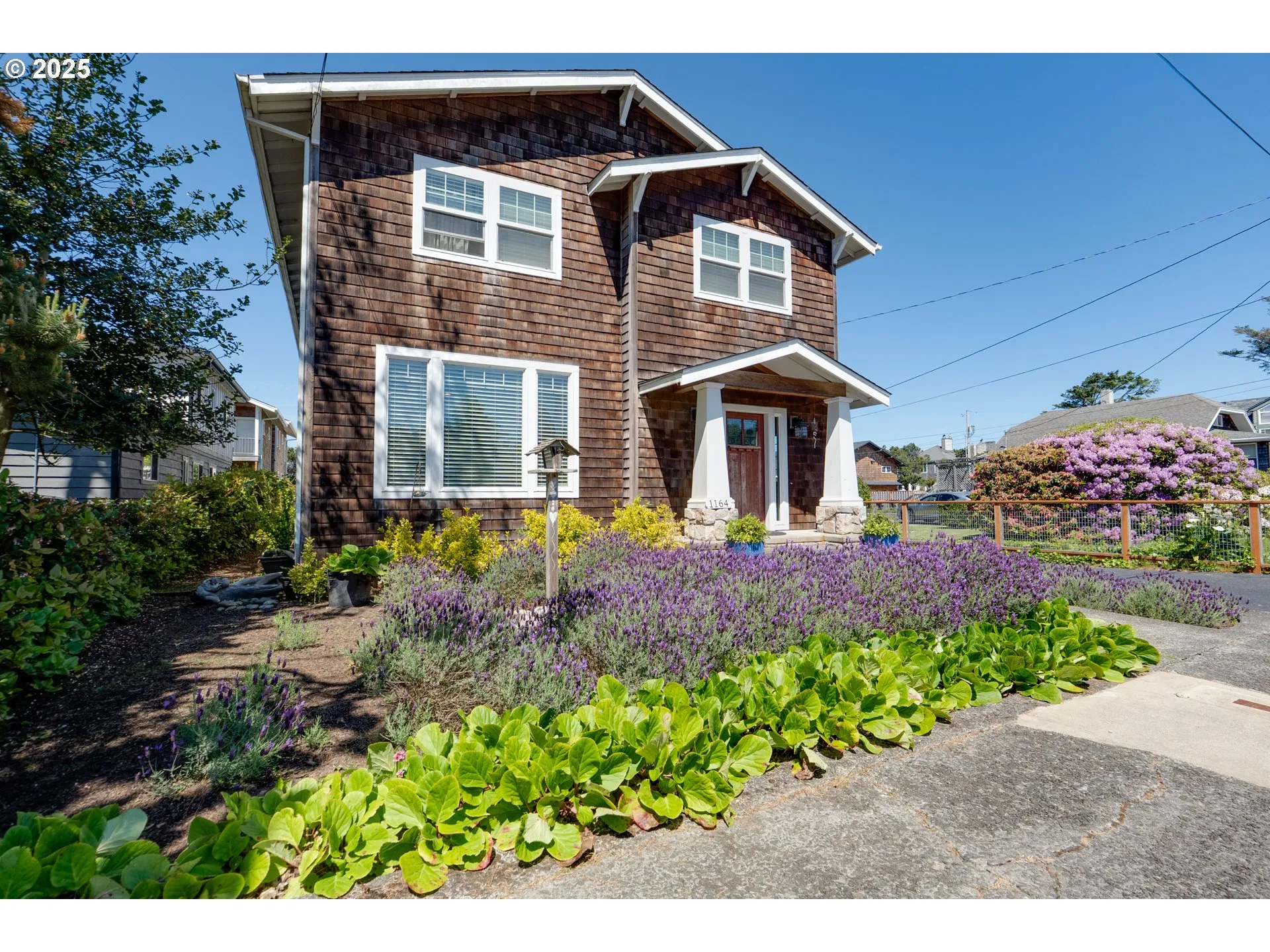 Front Yard