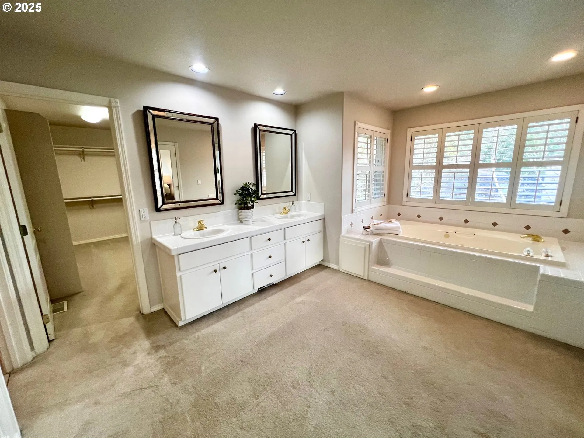 Owner's Suite Bathroom-Double Sinks