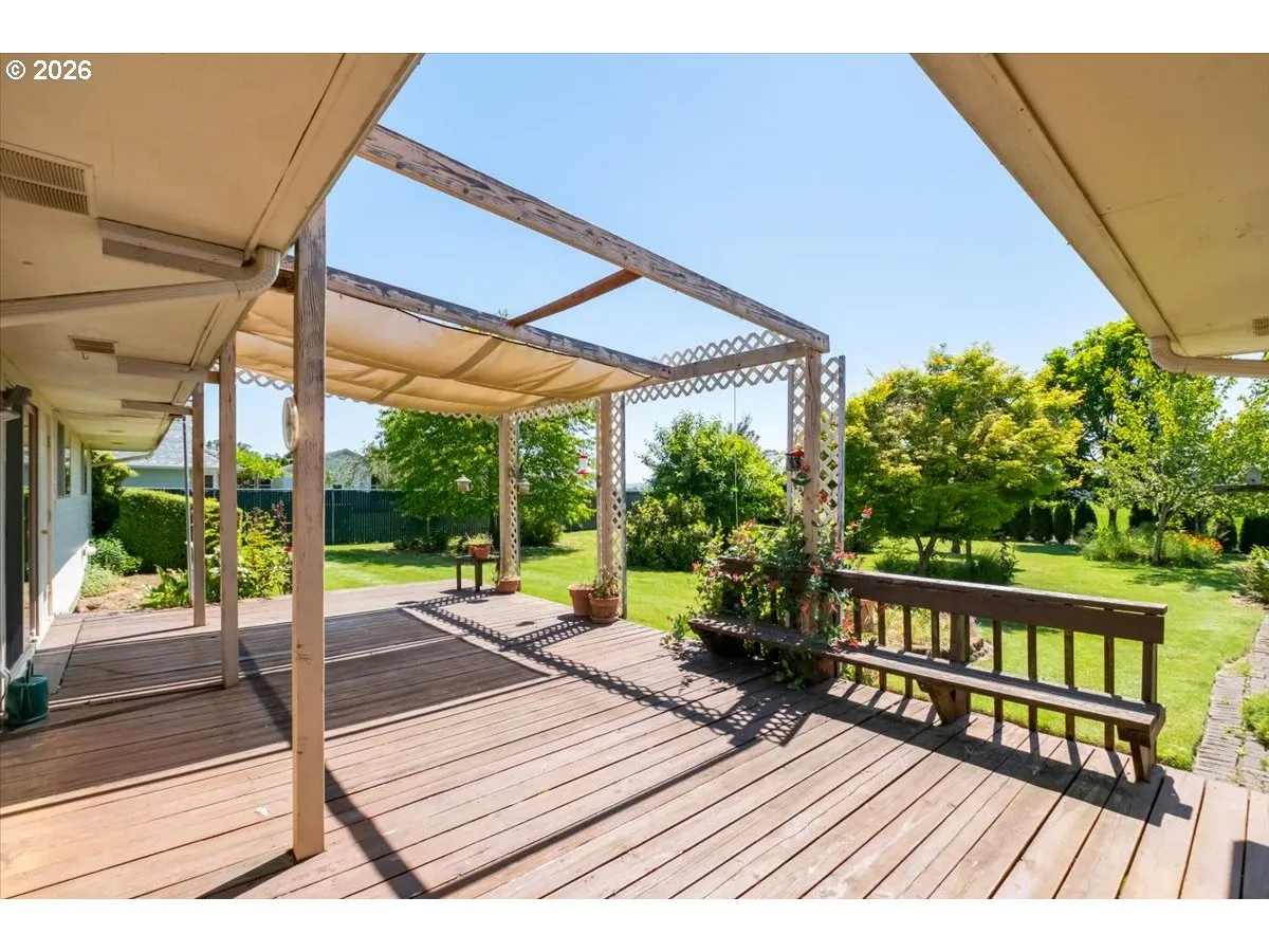 Backyard-View From