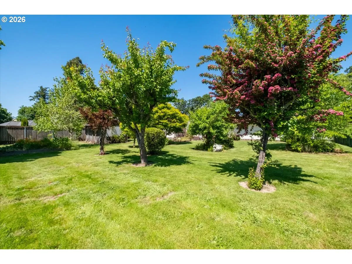 Backyard-View From
